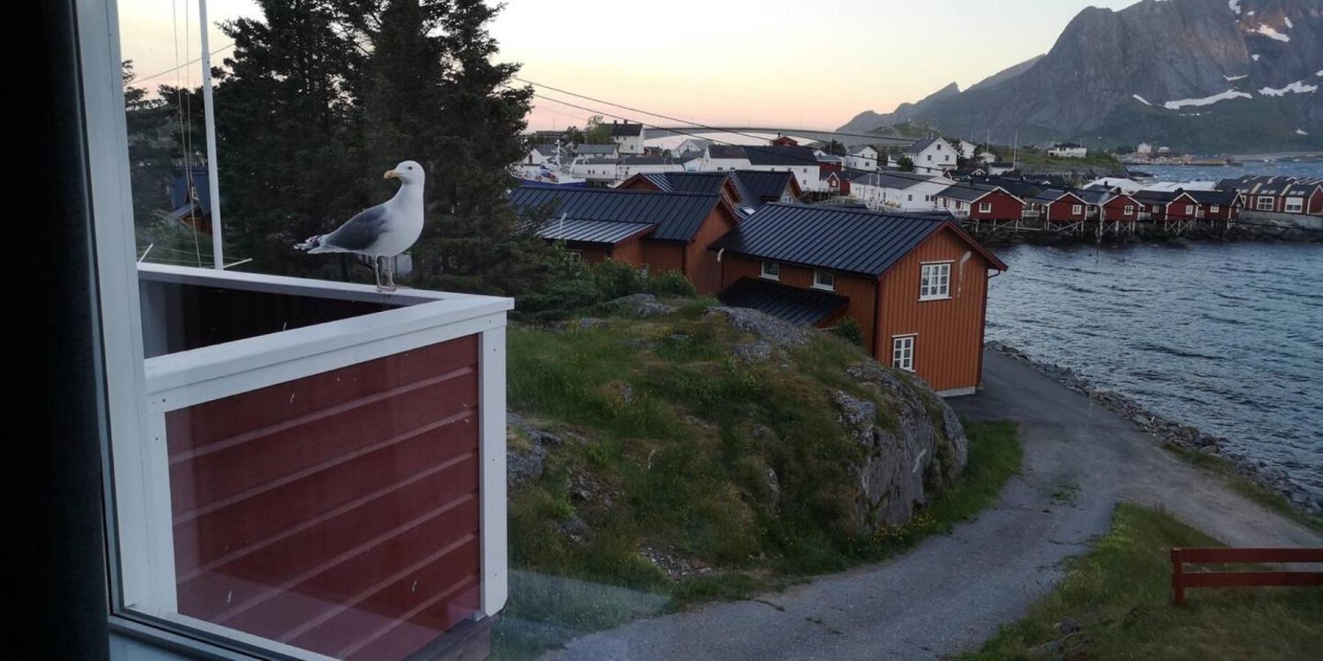 Lofoten Panoramic Luxury Home With Sauna モスケネス エクステリア 写真
