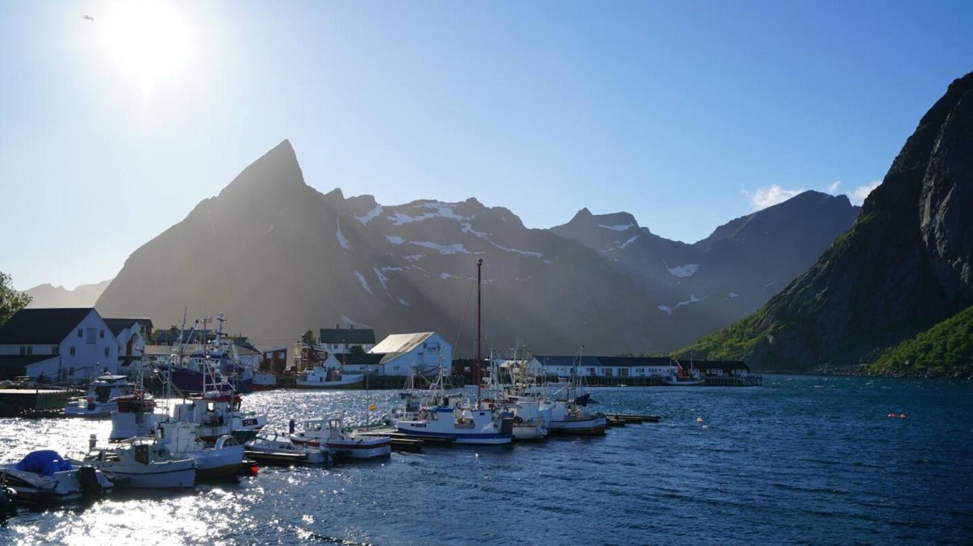 Lofoten Panoramic Luxury Home With Sauna モスケネス エクステリア 写真